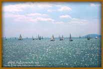 Balaton - vitorlások
